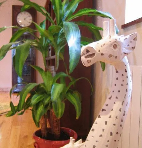 Mar De Santillana Hotel Ubiarco